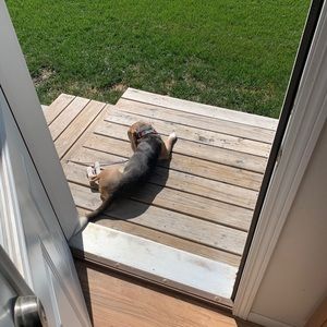 Meet your Posher, Joseph